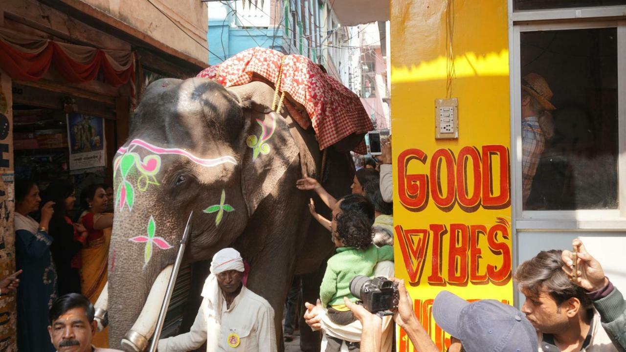 Good Vibes Hostel - Varanasi